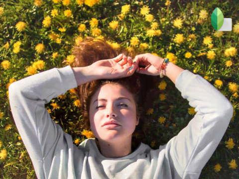 snapseed fotobewerking snapseed fotobewerking