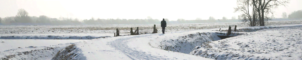 Winter Banner Winter Banner