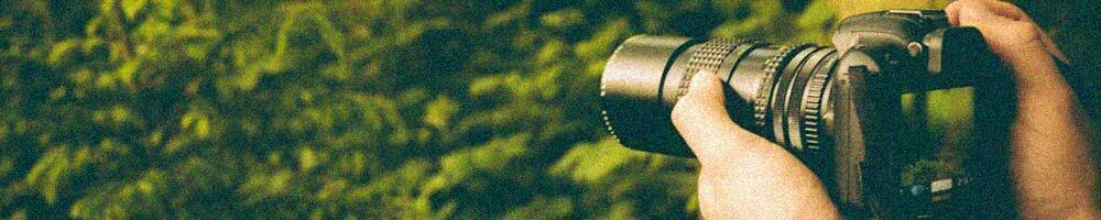 Ruis Foto met hoge ISO